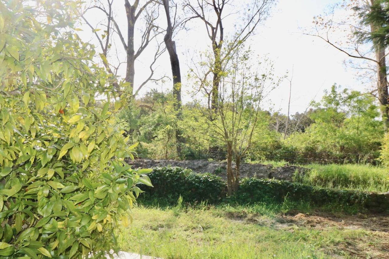 Gites Terra Di A Bravona Лингиццета Экстерьер фото